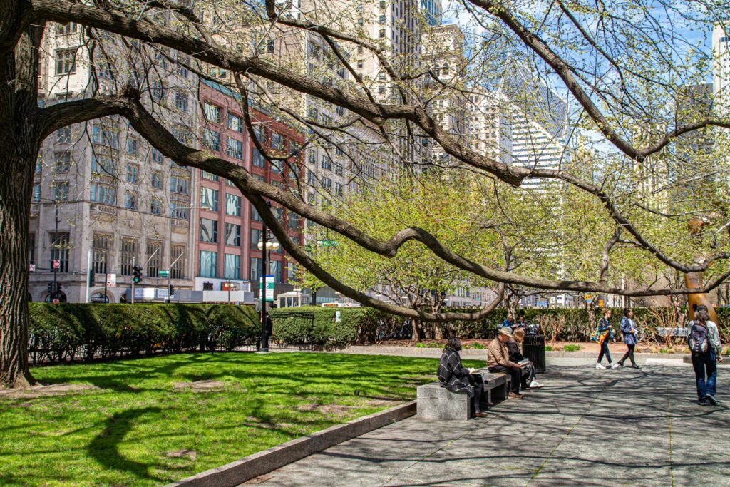  People relaxing on a bench in a park in Chicago, with historic city buildings and the Art Institute in the background.
