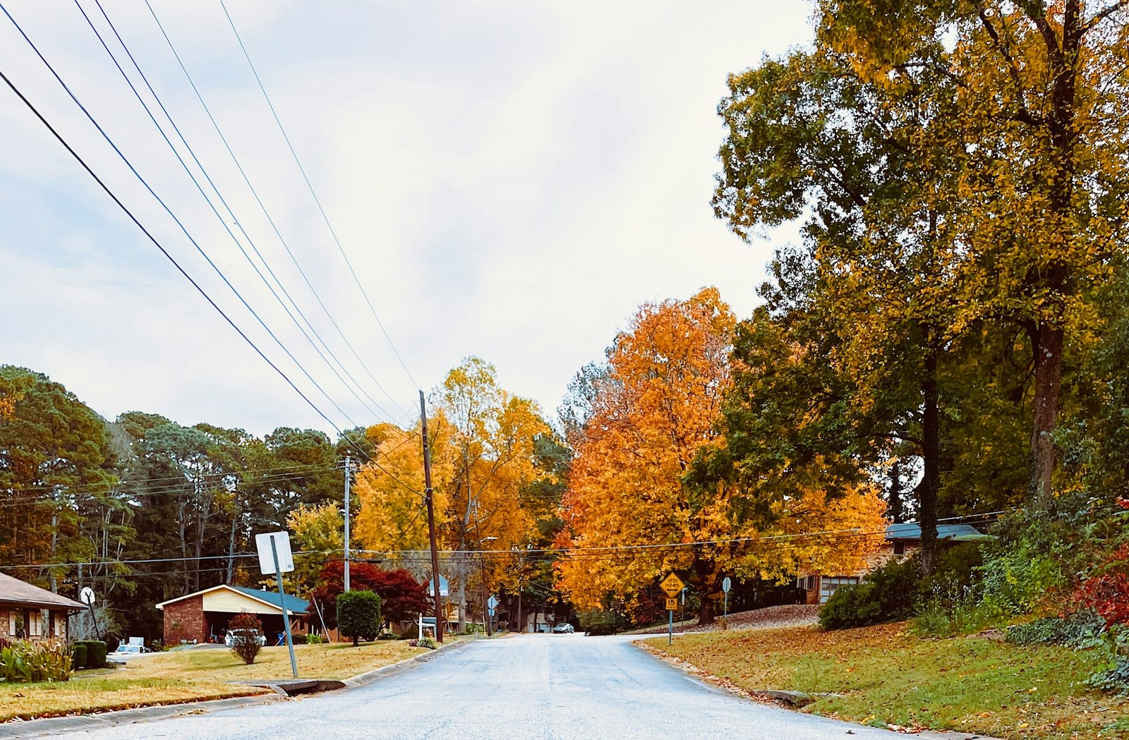 A quiet residential street in Beaufort, South Carolina, lined with trees displaying vibrant autumn foliage and houses under a cloudy sky.