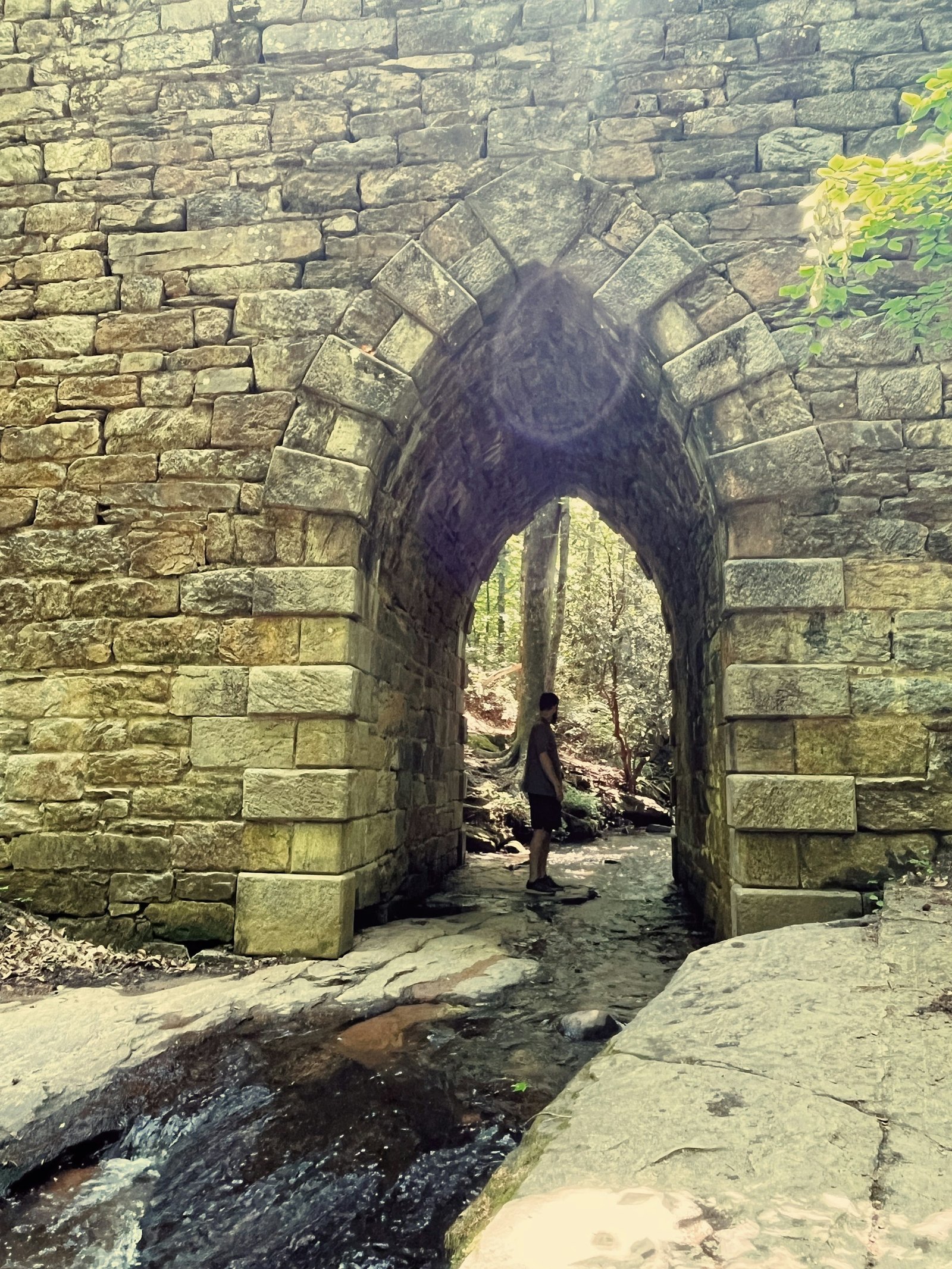 A person standing under the historic Poinsett Bridge, a stone Gothic arch bridge near Travelers Rest, South Carolina.