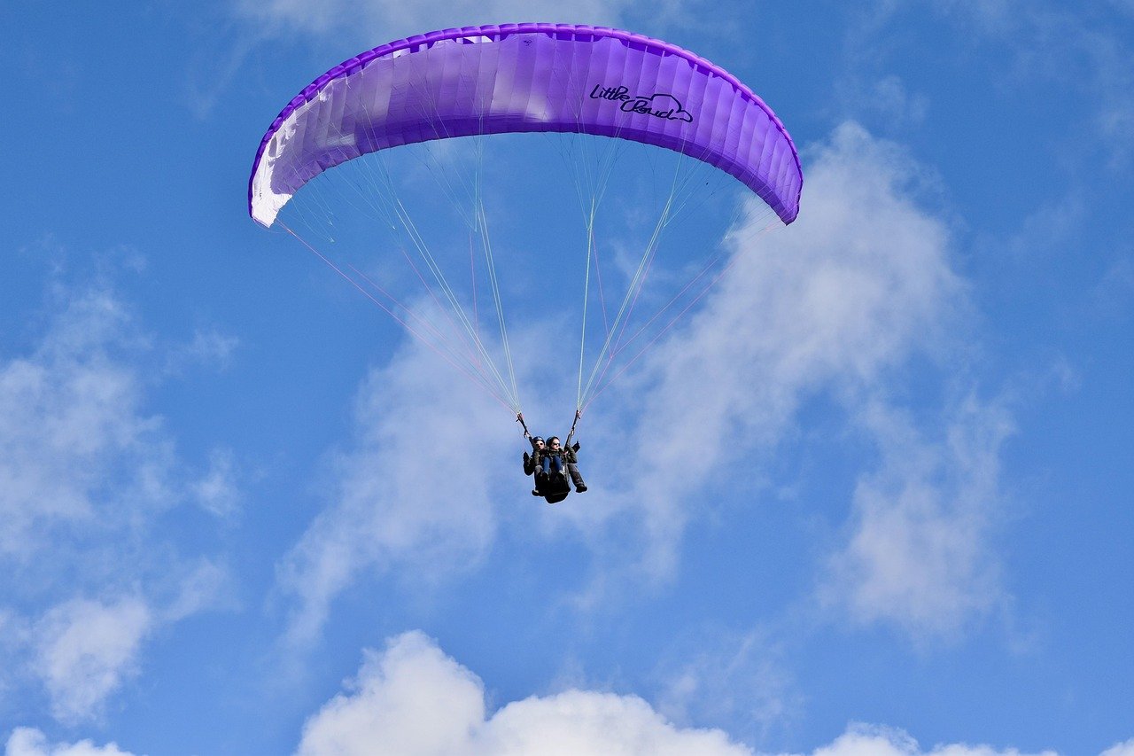 Paragliding (Interlaken, Switzerland)