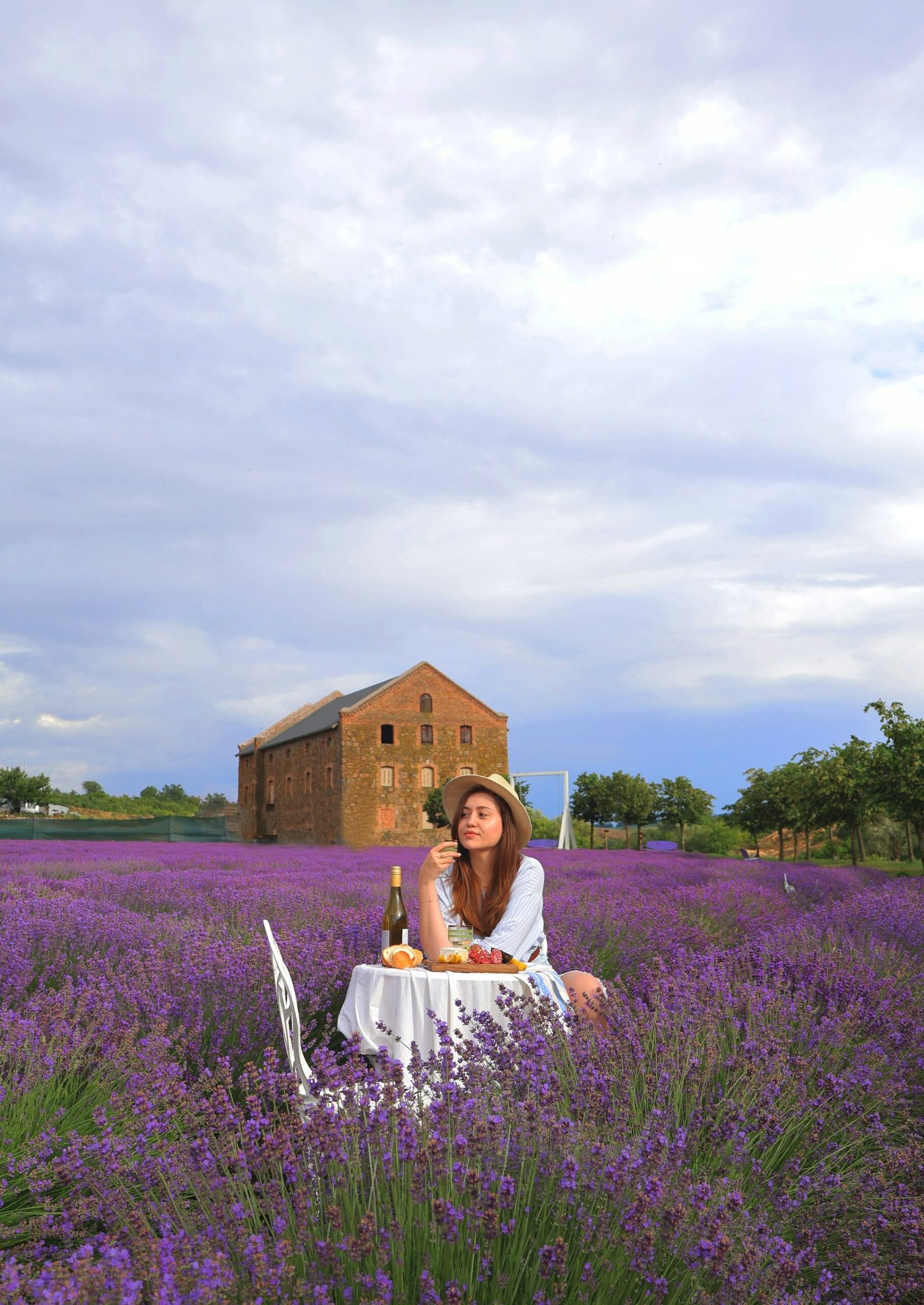 Provence, France: Lavender Fields and Love