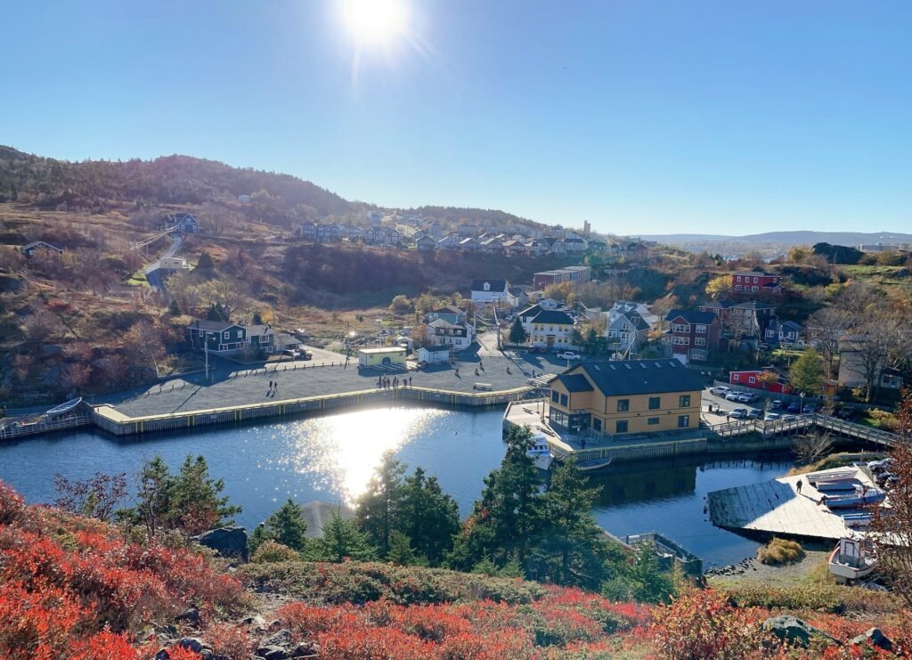 An elevated view of the historic Quidi Vidi Village in St. John's, Newfoundland, on a sunny day with red autumn foliage in the foreground.